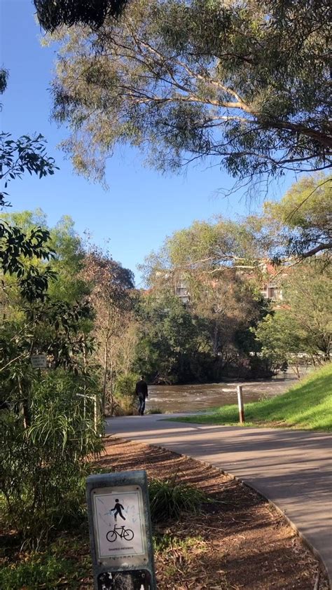 Yarra City Council (@cityofyarra) • Instagram photos and videos.
